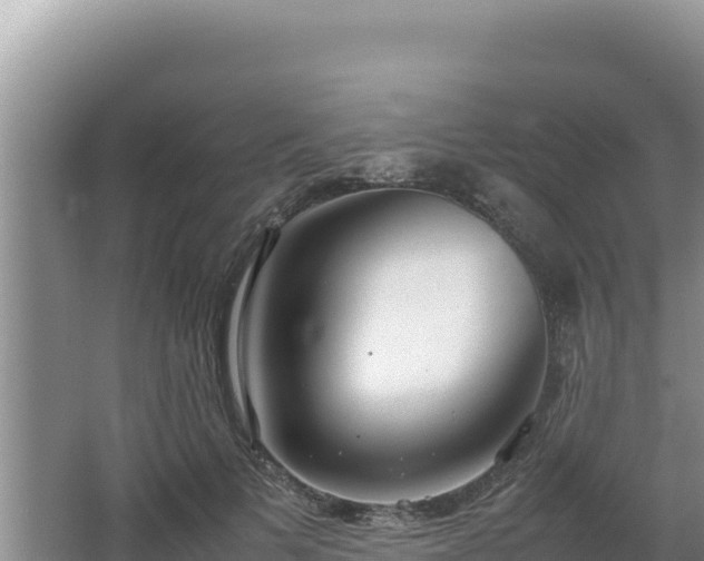 X0000064730697200602131250