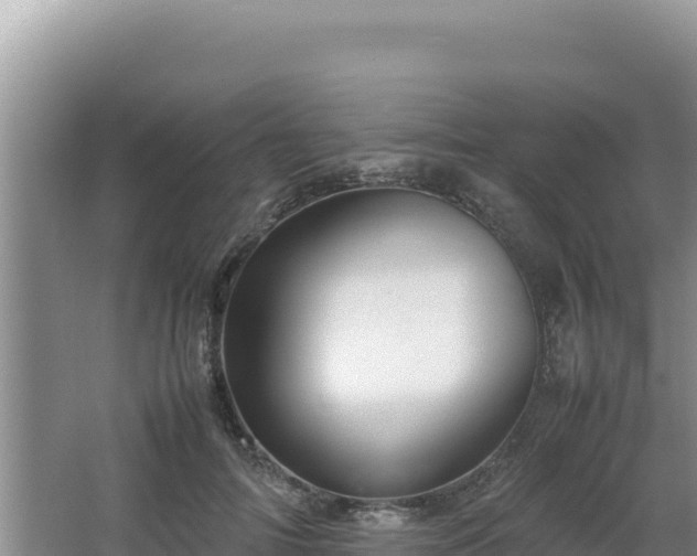 X0000064730698200602131250