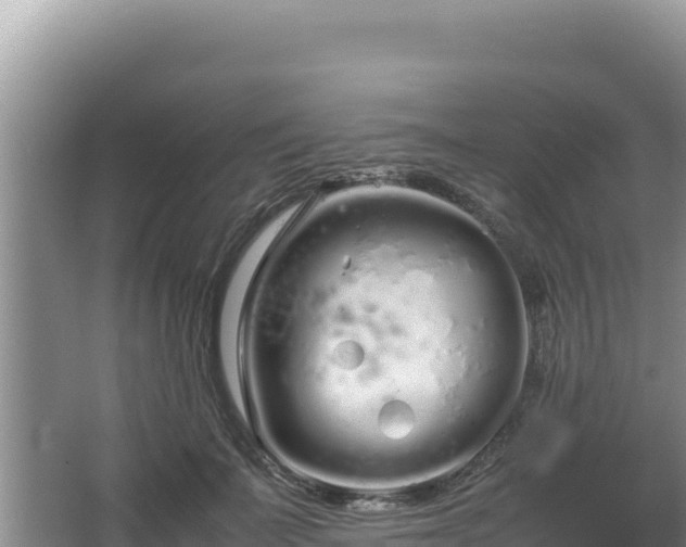 X0000064730699200602131250