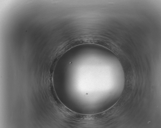 X0000064730702200602131250