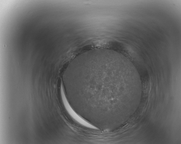 X0000064730703200602131250