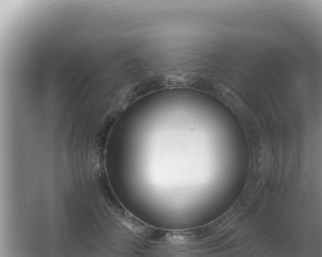 X0000064730706200602131250