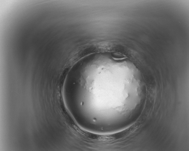 X0000064730707200602131250