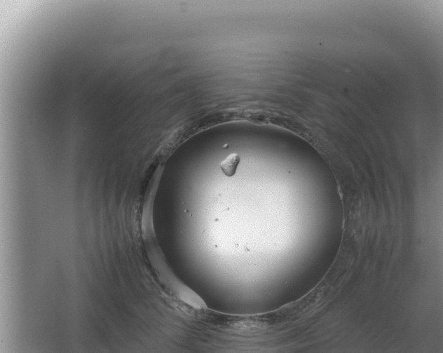 X0000064730708200602131250