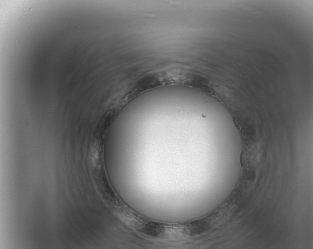 X0000064730709200602131250