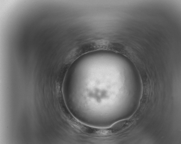 X0000064730711200602131250