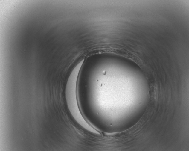 X0000064730712200602131250