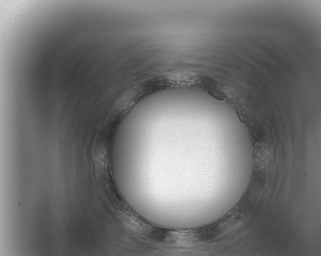 X0000064730713200602131250