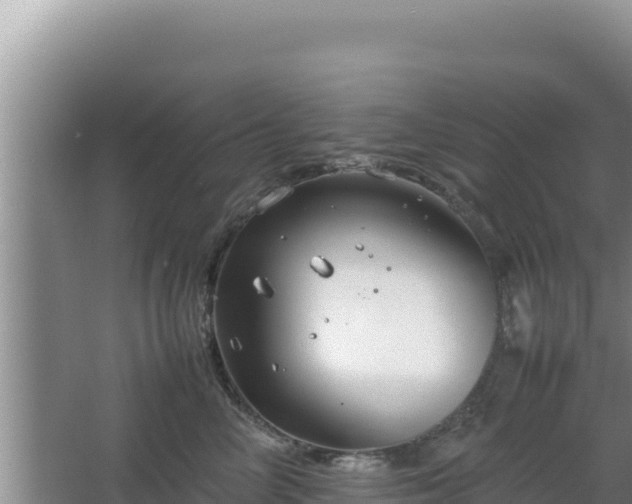 X0000064730714200602131250