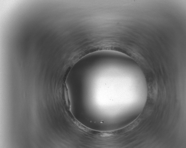 X0000064730718200602131250