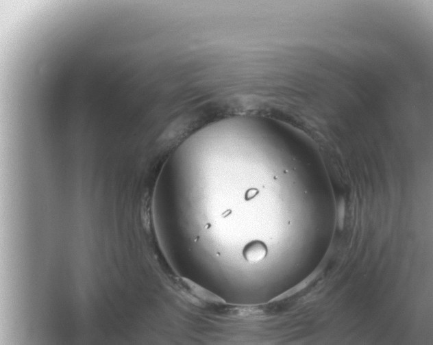 X0000064730719200602131250