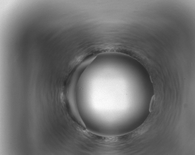 X0000064730720200602131250