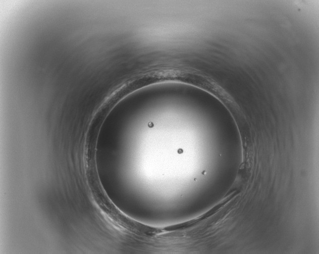 X0000064730722200602131249