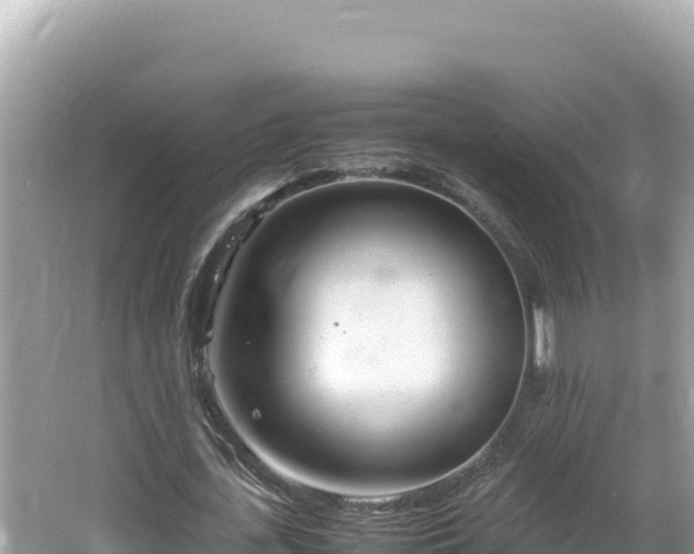 X0000064730723200602131249