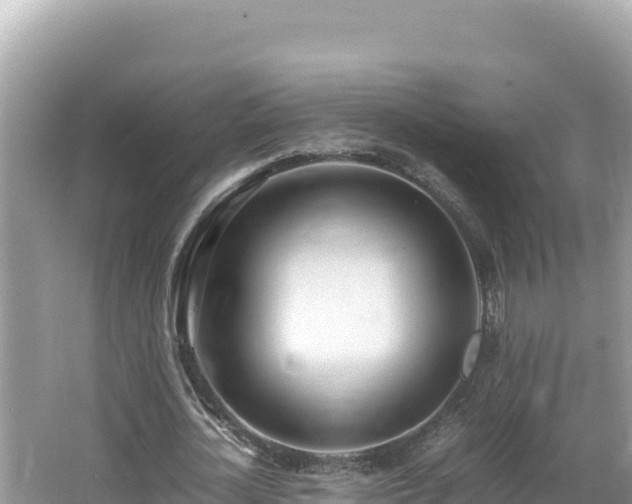 X0000064730724200602131249