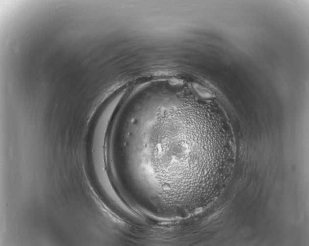 X0000064730725200602131249