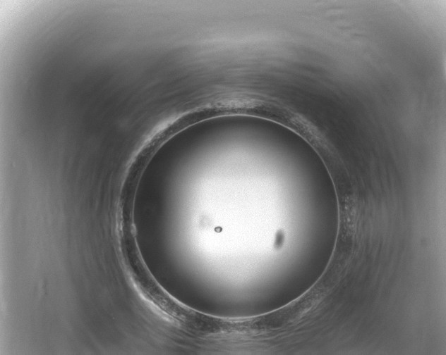 X0000064730726200602131249