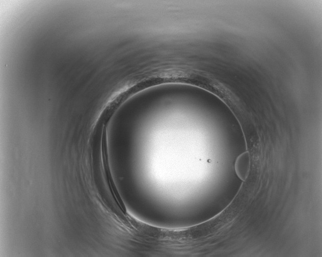 X0000064730727200602131249