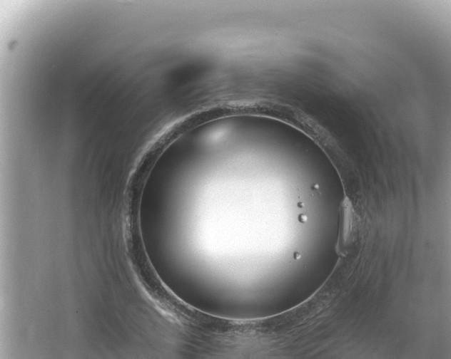 X0000064730728200602131249