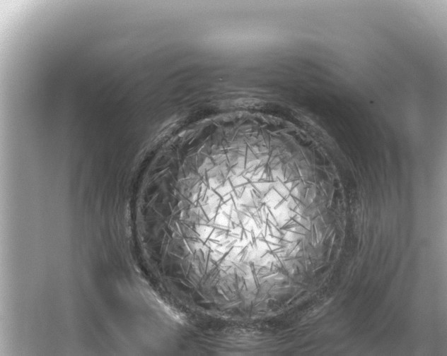 X0000064730729200602131249