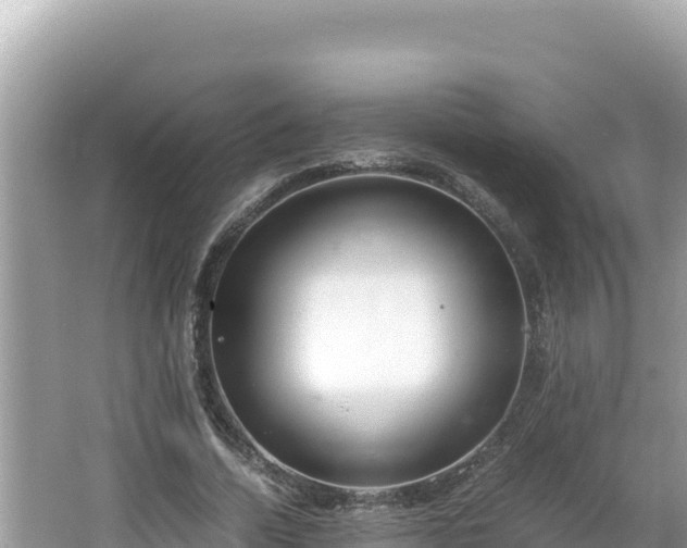 X0000064730730200602131249