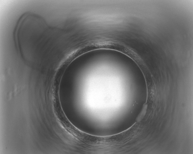 X0000064730732200602131249