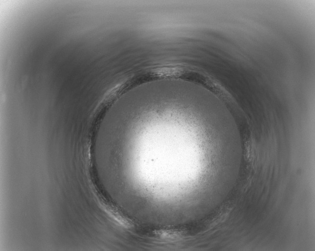 X0000064730733200602131249