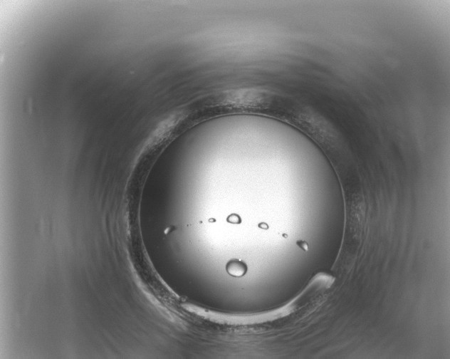 X0000064730734200602131249