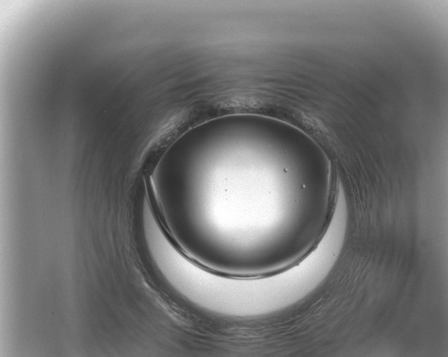 X0000064730735200602131249