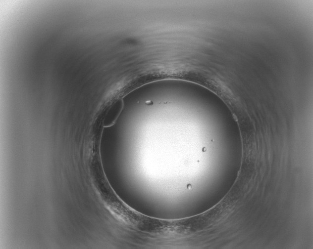 X0000064730736200602131249