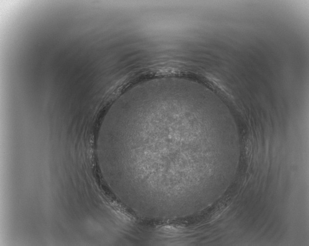 X0000064730737200602131249