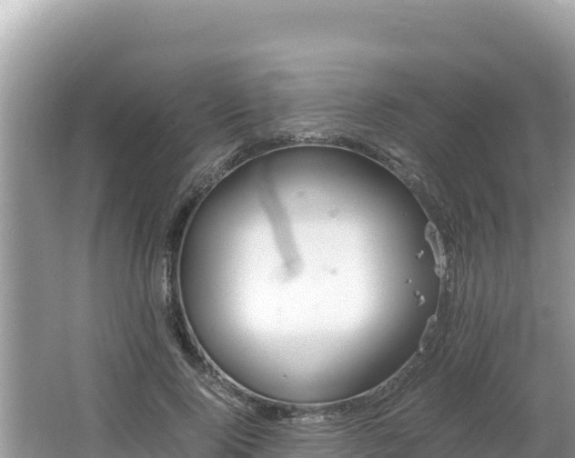 X0000064730740200602131250