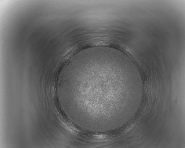 X0000064730741200602131250