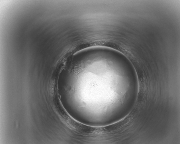 X0000064730742200602131250