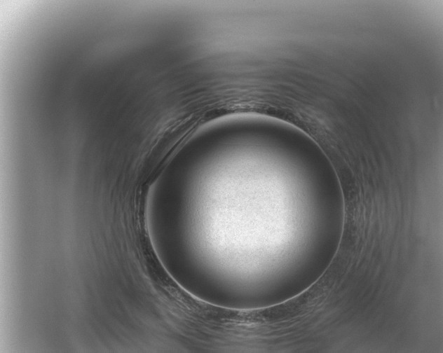 X0000064730743200602131250