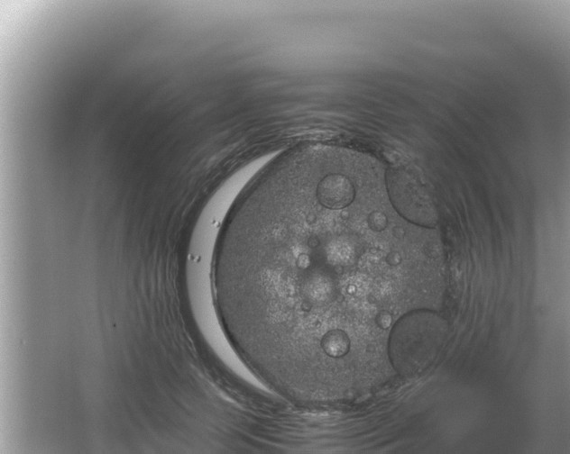 X0000064730745200602131250