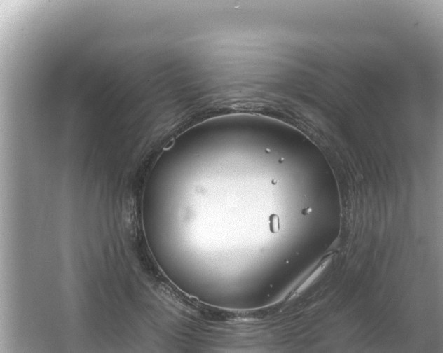 X0000064730748200602131250