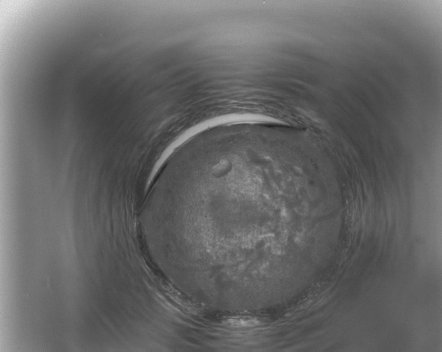 X0000064730749200602131250