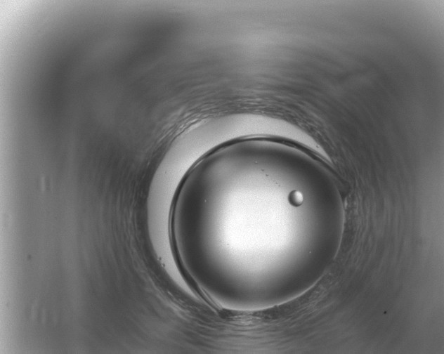 X0000064730750200602131250