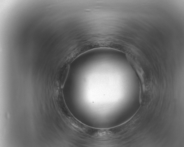 X0000064730752200602131250