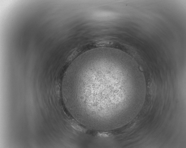 X0000064730753200602131250