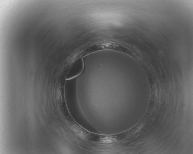 X0000064730754200602131250