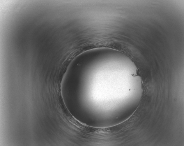 X0000064730756200602131250