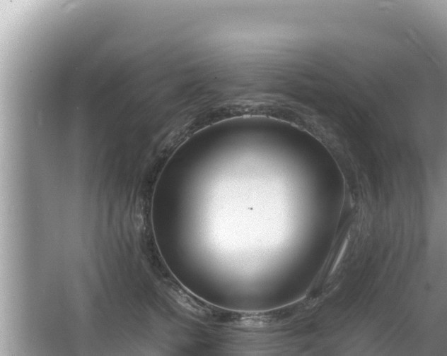 X0000064730758200602131250