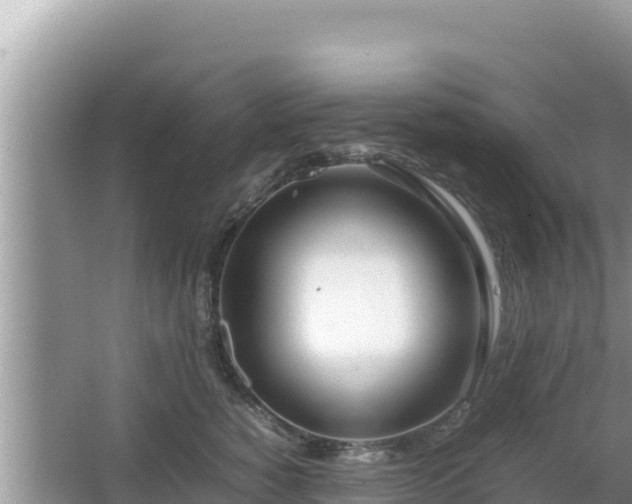 X0000064730760200602131250