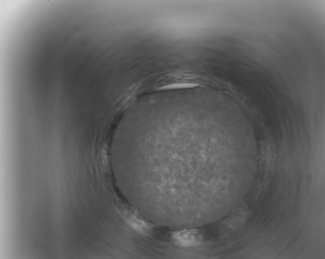 X0000064730761200602131250