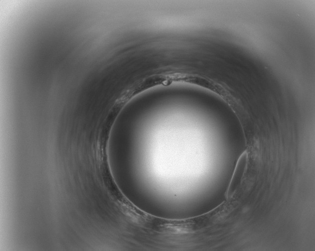 X0000064730763200602131250