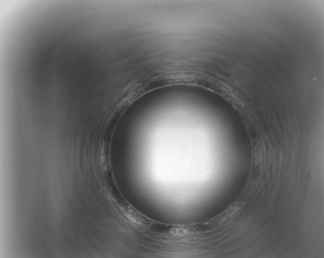 X0000064730764200602131250