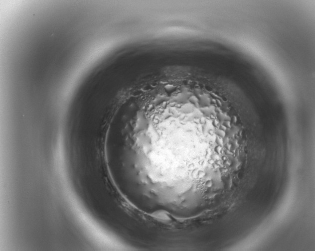 X0000064730765200602131250