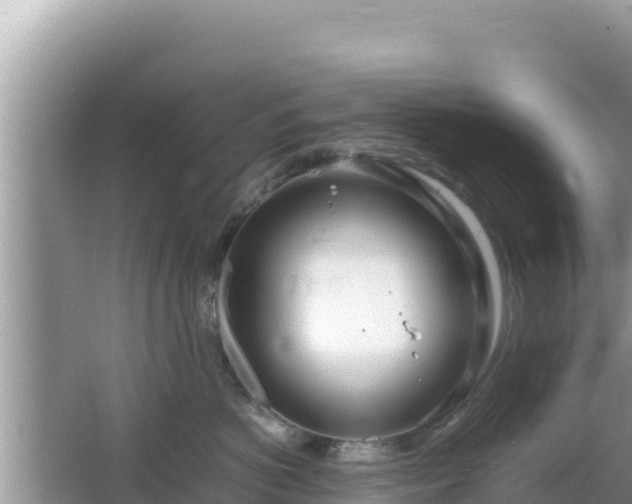 X0000064730766200602131250